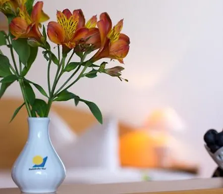 Residenz Paulsdorfer Hof Pensionat 3*